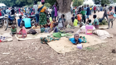 Fome mata duas crianças e número de deslocados dispara de 30 para 52 mil pessoas no distrito de Eráti