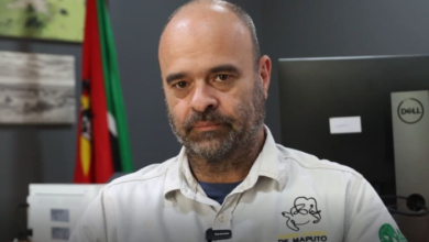 CONFLITO HOMEM-FAUNA: ADMINISTRADOR DO PARQUE NACIONAL DE MAPUTO ANALISA EMBATE ENTRE ELEFANTE E VIATURA