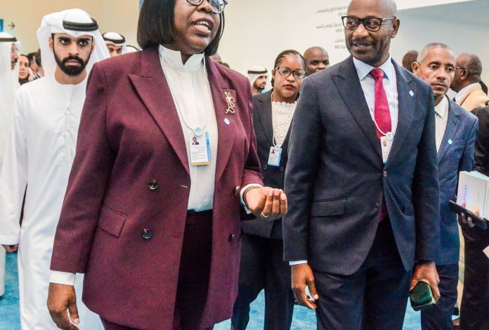 Cimeira Mundial de Governos: Moçambique e Inovação Administrativa