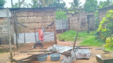 “GEZANI” PROVOCA DANOS MÍNIMOS EM INHAMBANE