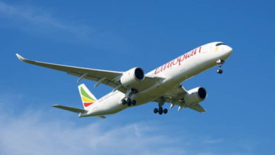 GOVERNO BUSCA EXPERIÊNCIA DA ETHIOPIAN AIRLINES PARA REVITALIZAR A LAM