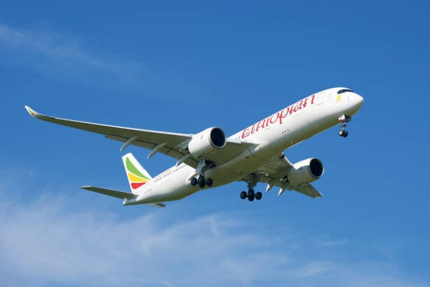 GOVERNO BUSCA EXPERIÊNCIA DA ETHIOPIAN AIRLINES PARA REVITALIZAR A LAM