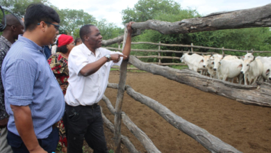 SECRETÁRIO DE ESTADO DA PROVÍNCIA DE MAPUTO VISITA PROJECTO PECUÁRIO EM MAGUDE