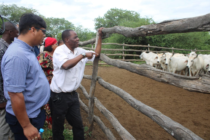 SECRETÁRIO DE ESTADO DA PROVÍNCIA DE MAPUTO VISITA PROJECTO PECUÁRIO EM MAGUDE