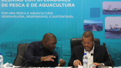 Transformação da Pesca Artesanal em Moçambique: Um Novo Futuro