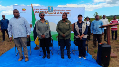 Campanha de Vacinação Animal 2026 no Niassa: Objetivos e Desafios