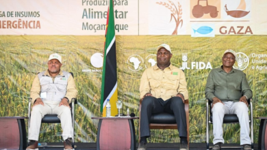 PRESIDENTE DA REPÚBLICA DEFENDE TECNOLOGIAS AGRÁRIAS PARA GARANTIR INDEPENDÊNCIA ECONÓMICA 
