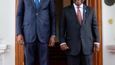 Aprofundamento das Relações entre Moçambique e África do Sul