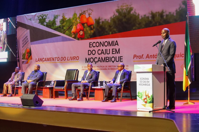 Caju: Pilar Estratégico para a Independência Económica em Moçambique
