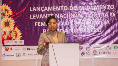 Comissão da Assembleia da República defende protecção da mulher como imperativo constitucional 