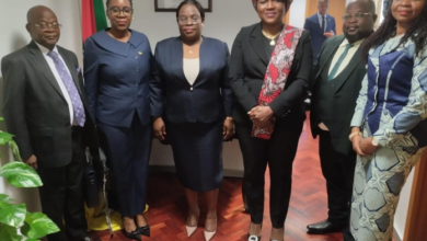 Cooperação entre Moçambique e Portugal: Missão Parlamentar