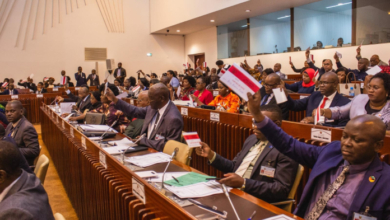 Governo de Moçambique Impulsiona Industrialização com Nova Lei