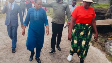 Visita da Comissão de Agricultura à Matola: Fiscalização e Desenvolvimento