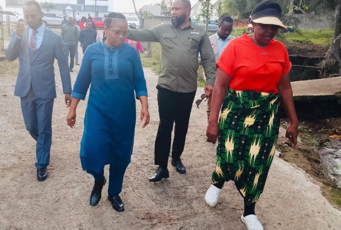 Visita da Comissão de Agricultura à Matola: Fiscalização e Desenvolvimento