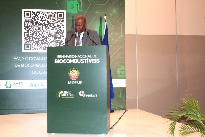 Biocombustíveis em Moçambique: Avanços e Oportunidades
