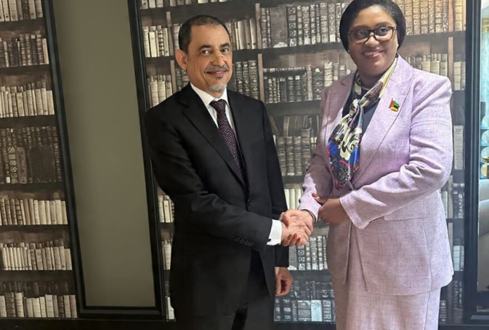 Ministra das Finanças debate novo programa de apoio em encontro bilateral com o FMI