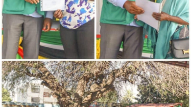 Edil de Maputo entrega DUAT a munícipes do bairro Polana Caniço “A”