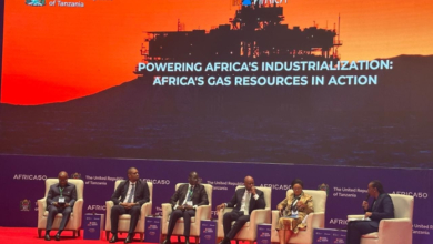 Gás natural pode acelerar a industrialização de Moçambique, destaca Ministra das Finanças