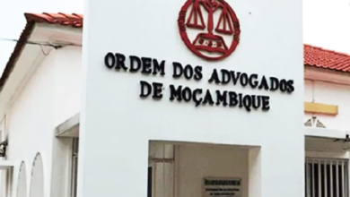 OAM aprova deliberação para travar banalização da advocacia nas redes sociais